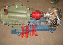 KCB300型不锈钢耐腐蚀齿轮油泵