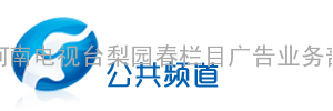 河南电视台公共频道广告