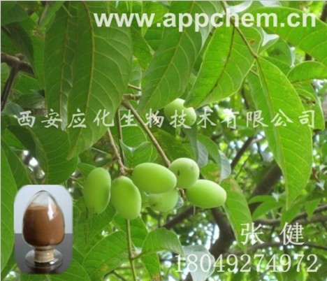 西安厂家生产橄榄叶提取物