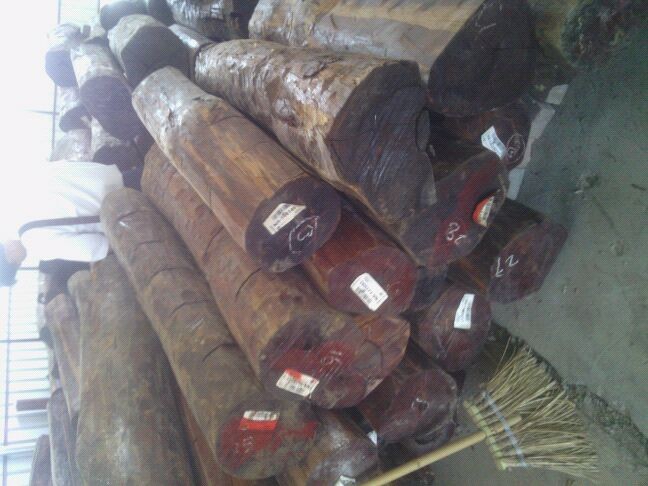 进口喀麦隆/坦桑尼亚木材需要哪些资料/木材进口办理清关有什么流程