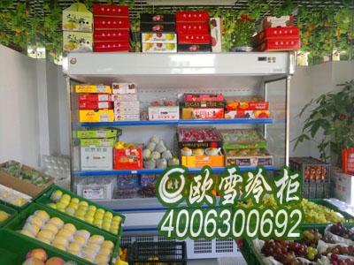 张家界放置水果的冰柜多少钱