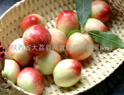 丽春油桃-白肉质甜油桃品种