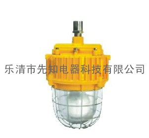 吉林XZ-DGS70/127B(E)矿用隔爆型泛光灯 隔爆型泛光灯 海洋王隔爆型泛光灯 DGS70/