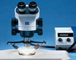 偏光材料显微镜Axio Lab A1 Pol