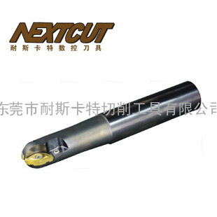 BCFL球形立铣刀、BCFL-20R-300-C42刀杆生产厂家