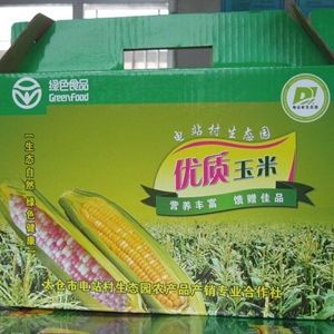美味玉米   优质农产品