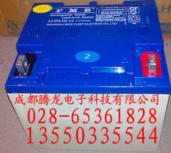 LCPA100-12 LCPA65-12 LCPA38-12 LCPA24-12蓄电池1355033