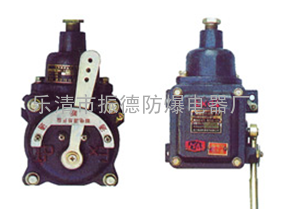 矿用拉电器(隔爆型型号开关)BAX-5/127