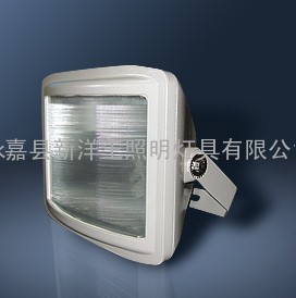 NSE9720-J35-海洋王NSE9720防眩应急灯 防眩应急泛光灯价格，NSE9720厂家