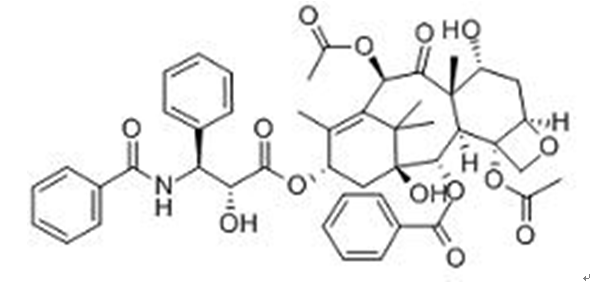 7-表紫杉醇