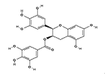 (-)-表没食子儿茶素没食子酸酯