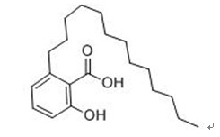 白果新酸