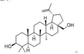 白桦脂醇