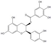 表儿茶素没食子酸酯