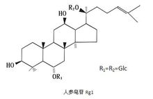 人参皂苷Rg1