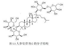 人参皂苷Rb1