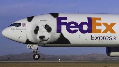 深圳机场FEDEX报关需提供那些资料，费用如何