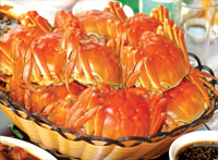 上海大闸蟹专卖服务最好的是哪家