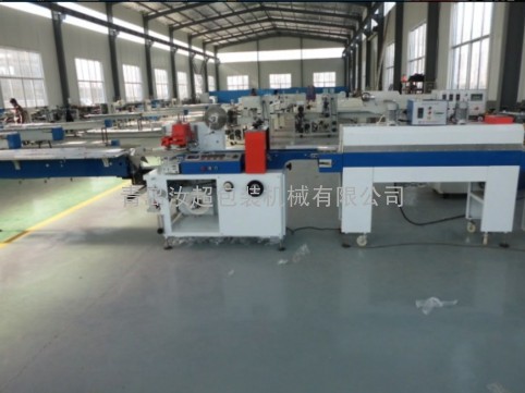 济南市包装机生产厂家  包装机械设备生产厂