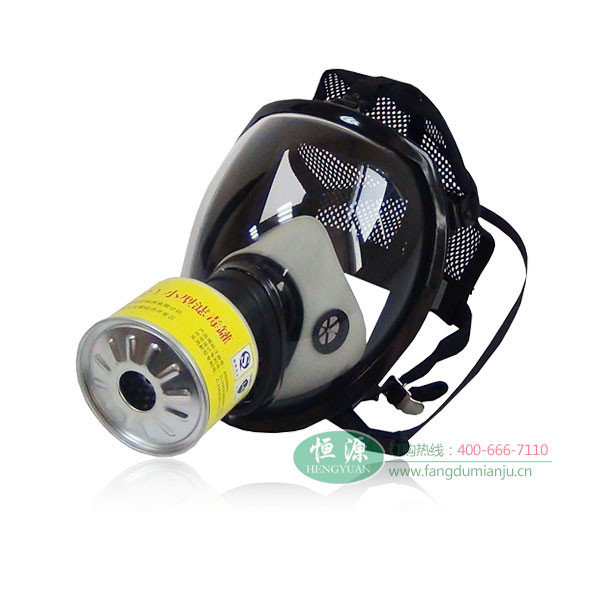 防护氯气防毒面具 恒源802全面罩