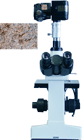 CMM-30E型正置金相显微镜