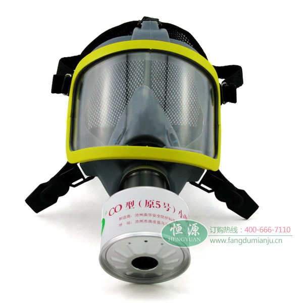防护一氧化碳的防毒面具 恒源901全面罩