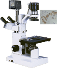 XSP-18CE数码倒置生物显微镜