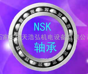 天津SKF轴承密封件的说明介绍上海NSK进口轴承经销商