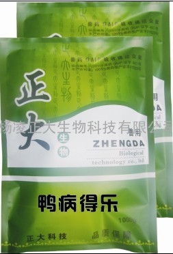 大肠杆菌 过料 输卵管炎 卵巢炎 鸭药 鸡药 猪药 兽药厂家直销