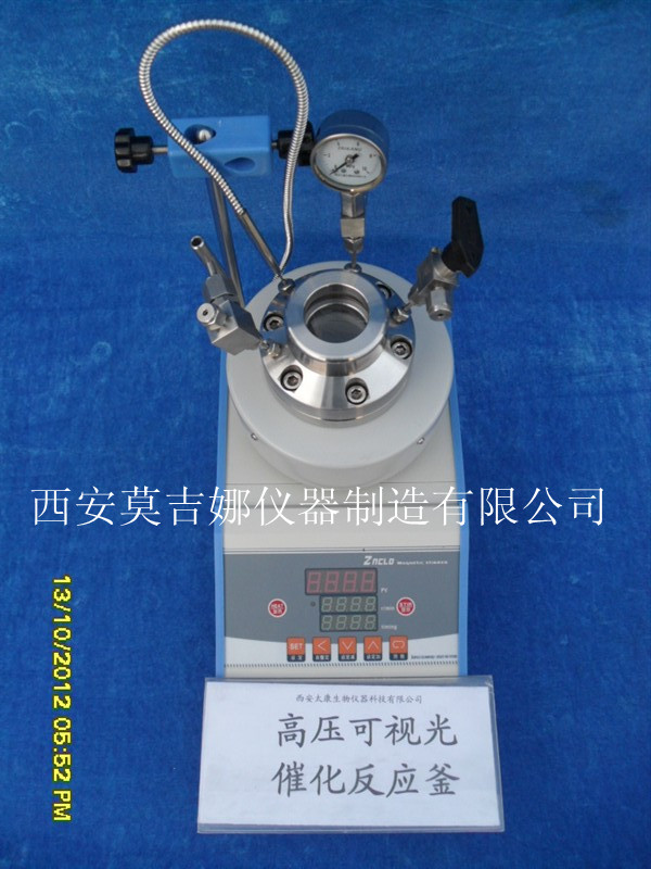 微型高压可视光催化反应釜/微型高压反应釜
