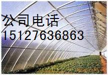 中国采光板大量批发商￥河北大城采光板厂￥新型采光板价格