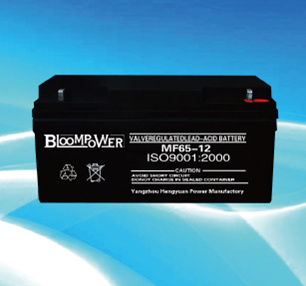 BloomPower 阀控式免维护铅酸蓄电池