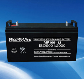 BloomPower 阀控式免维护铅酸蓄电池