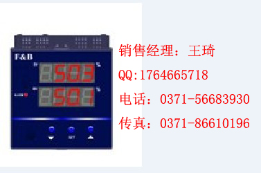 供应DFQ5000，手操器，操作器，百特工控，说明书，选型