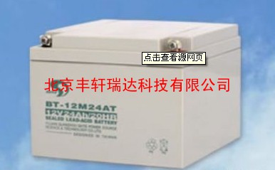 赛特蓄电池BT-12M24AL(12V24Ah/20hr)