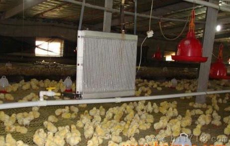 养鸡温控设备-育雏温控设备