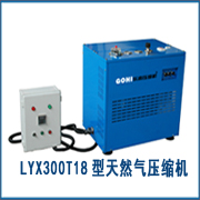 LYW300T天然气压缩机厂家