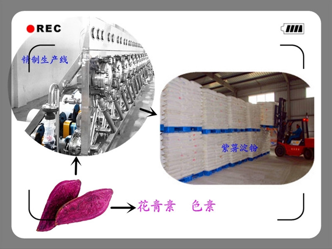 紫薯淀粉加工设备