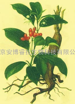 异欧前胡素