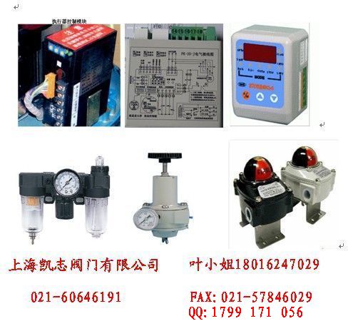 CPA101-220执行器配件(执行器控制模块)