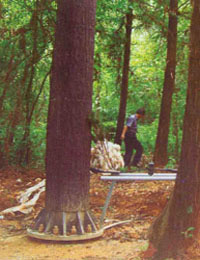 东莞装饰避雷针塔