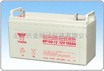 NPL100-12蓄电池