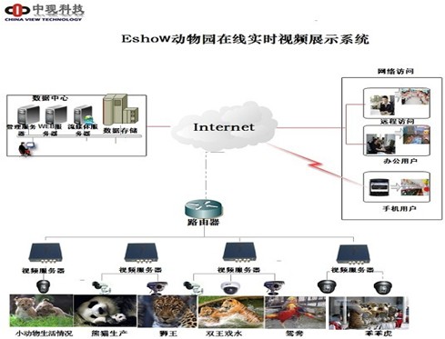 动物园实时视频在线平台