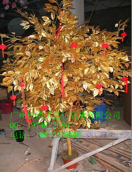 圣诞树，金色发财树，许愿树，金色榕树，金色树