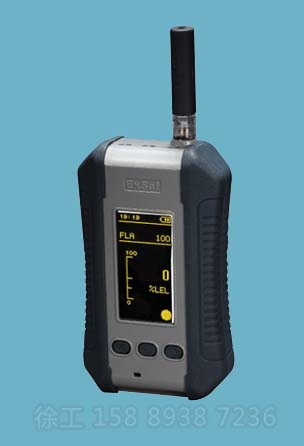 低价特安便携式气体检漏仪ESP210型