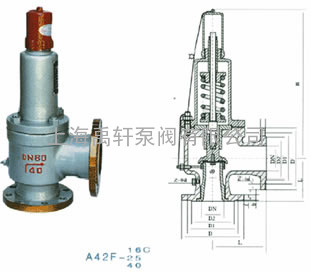 A42F-DN100天燃气专用安全阀