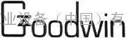 Goodwin止回阀、GOODWIN双板式止回阀