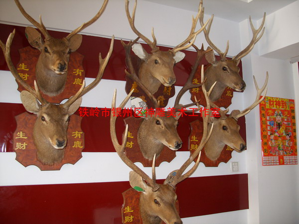 欧式壁挂装饰 鹿头标本 鹿产品工艺品 招财镇宅工艺品