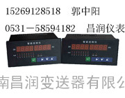 XMD7000温度巡检仪/XMD系列巡检仪 带控制继电器 可带RS485通讯 万能输入 营菏泽济宁莱