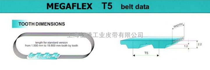 WHM同步带FENNER芬纳 T5主要尺寸表